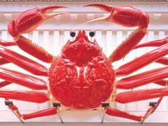 -蟹道乐(道顿堀本店)