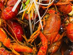 -启博美食城(孟家店)