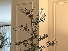 -积慕Cake(解放大道店)