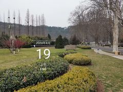 -棒棰岛宾馆景区