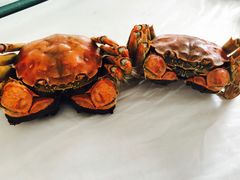 -丫丫蟹庄·苏式园林农家乐·阳澄湖大闸蟹(阳澄湖莲花岛店)