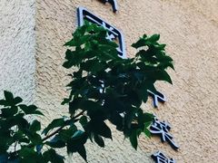 -萬國春·中菜馆(颐和公馆店)