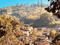-杨家堂村