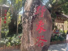 -野象谷景区