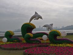 -野狸岛