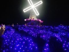 -大塘金香草谷