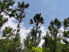 -重庆云阳龙缸景区