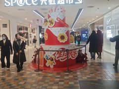 -小吊梨汤·北京菜·烤鸭(鸟巢店)