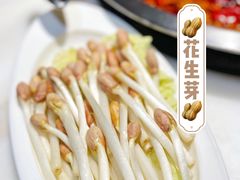 花生芽-孙毛肚火锅(春熙路店)