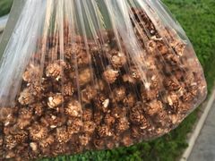 巧克力爆米花-正宗老杨特色爆米花(四棉店)