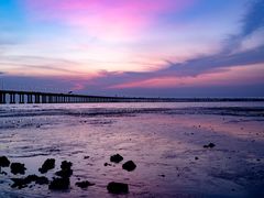 -宝安西湾红树林湿地公园