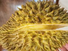 -三亚新鸿港水果一级批发市场
