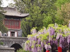 -晋祠公园