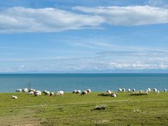 -青海湖国家重点风景名胜区