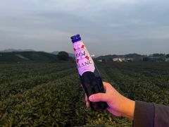 -龙坞茶村