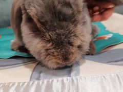 -雨林宠物医院 非犬猫异宠专科