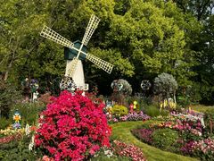 -上海共青森林公园