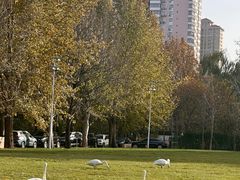 -银树楼(紫玉山庄东区店)