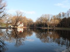 -上海共青森林公园