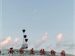 -石家庄市植物园