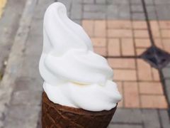 -富豪雪糕车流动点(尖沙咀店)