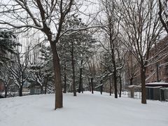 -1973继光香香鸡(合生汇购物中心店)