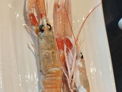-渔公码头·九龙湾国际饭店