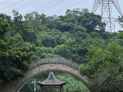 -梧桐山风景名胜区