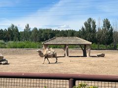 -齐齐哈尔龙沙动植物园