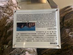 -房山世界地质公园博物馆