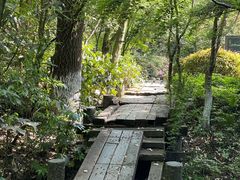 -杭州半山国家森林公园