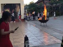 -勐旺傣香园