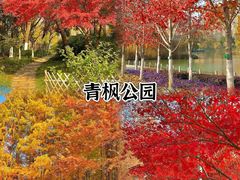 -红梅公园