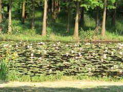 -艾溪湖湿地公园