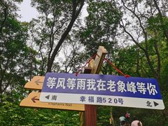 -老象峰