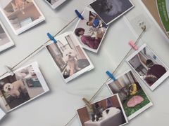 -瑞派康怡24h宠物医院·犬猫医疗中心·微创绝育(瑞景分院)
