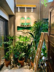 -绿皮火车照相馆 婚纱照旅拍(厦门店)