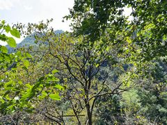 -丹山赤水风景名胜区