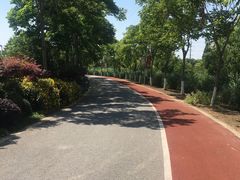 -上海长兴岛郊野公园