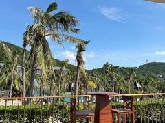 -日落吧·海景咖啡厅·餐酒吧·鸡尾酒·下午茶·乐队表演·浪漫夕阳·三亚文华东方酒店