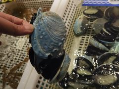 -驻海渔市(置信店)