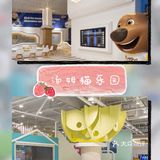 汤姆猫主题乐园放电指南