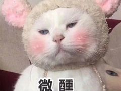 -啤客走廊