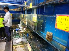 水产区-蚝专家(北滘店)