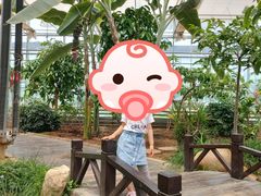 -北戴河集发农业梦想王国
