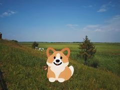 -黑龙江扎龙生态旅游区