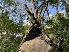 -七仙岭温泉国家森林公园