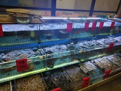 -洲晓鲜·舟山海鲜大排档(朱家尖风景区店)