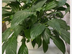 -中田健身工作室(东园店)