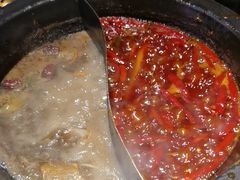 -蜀大侠火锅(总府路店)